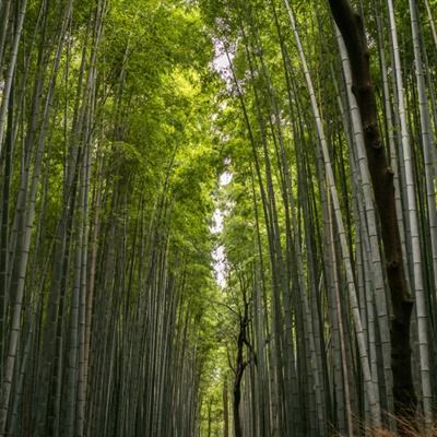 翻滚吧天神破解版下载